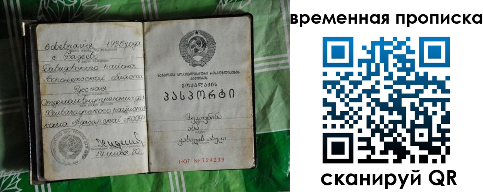 прописка в Дятьково